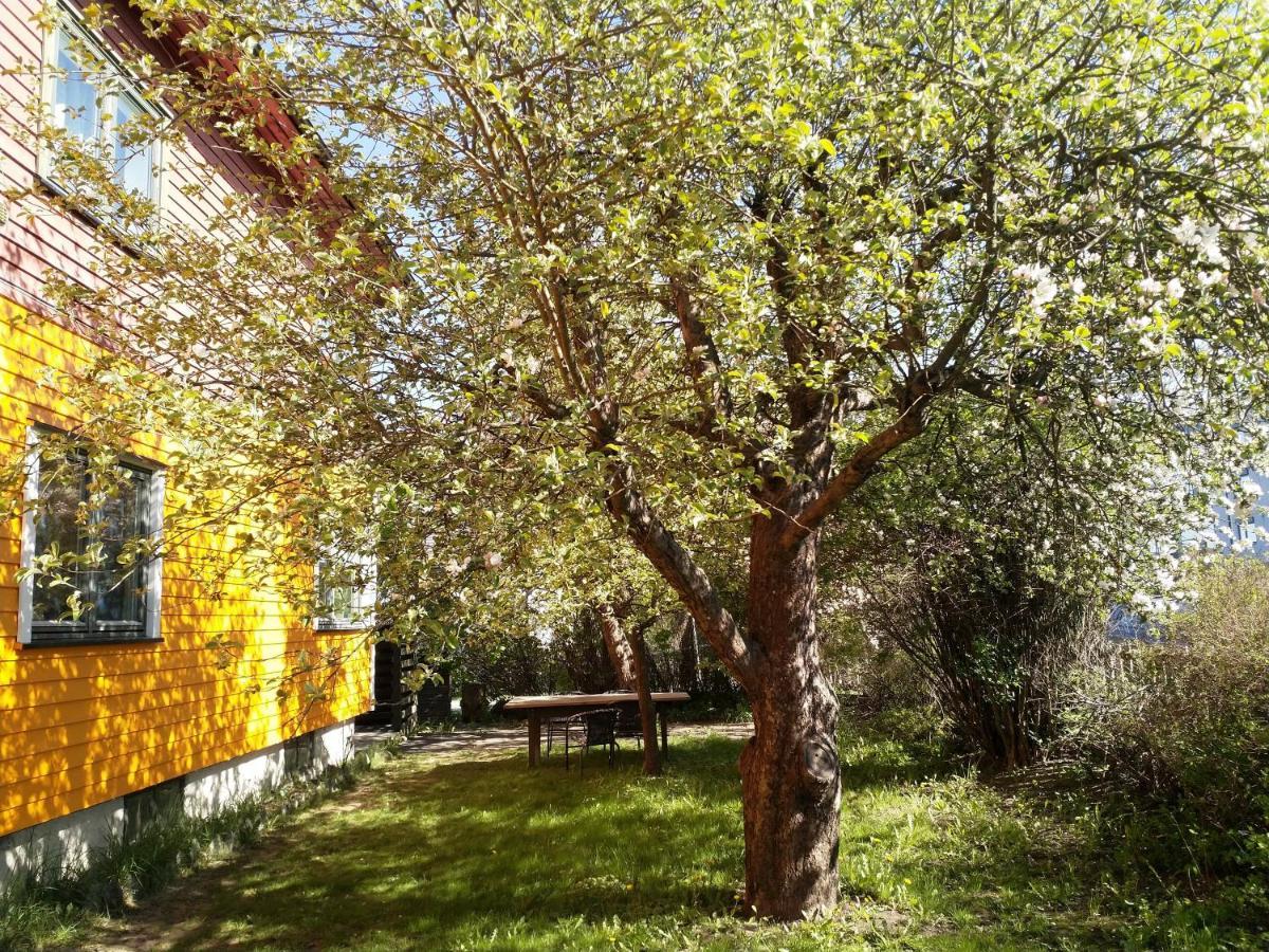 Renovated Semi- Basement 2 Bedrooms Furnished Apartment - Close To Everything In Moss Exterior photo
